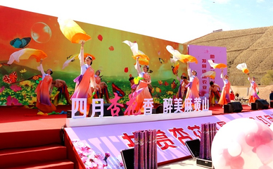 宁夏盐池县 杏花绽放迎客来，文艺创作绘新篇